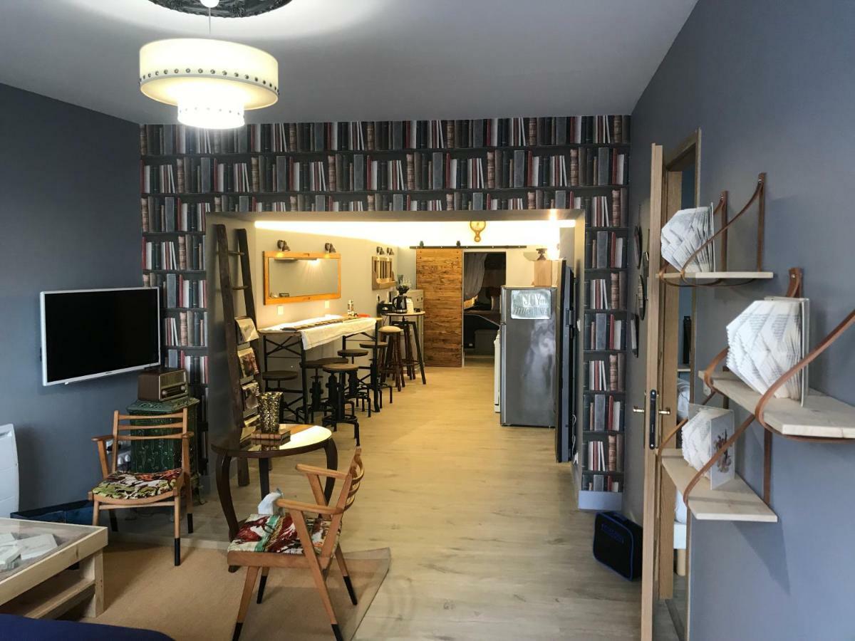 Le Bouquiniste, Centre Historique, Fibre, Ess, Rez-De-Chaussee, Bedinshop Romans-sur-Isere Ngoại thất bức ảnh