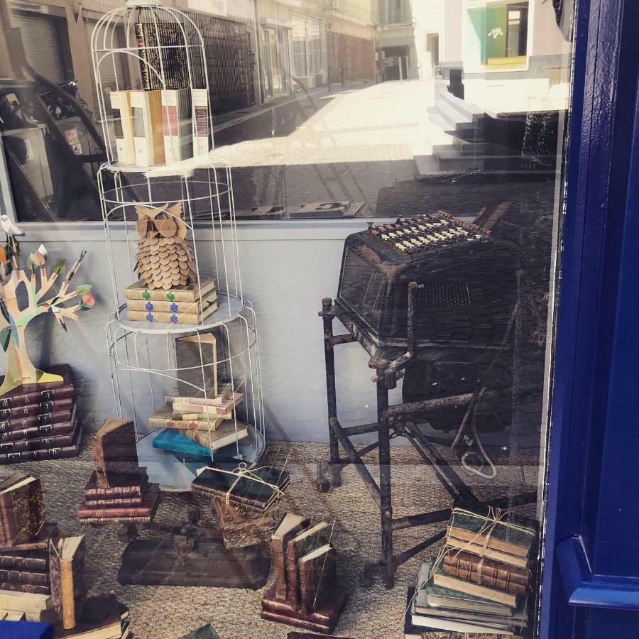 Le Bouquiniste, Centre Historique, Fibre, Ess, Rez-De-Chaussee, Bedinshop Romans-sur-Isere Ngoại thất bức ảnh
